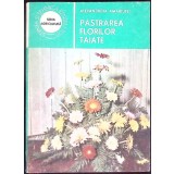 PASTRAREA FLORILOR TAIATE-ALEXANDRINA AMARIUTEI-341759