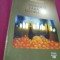 DIMINETI FARA GLORIE-ION BELDEANU 2011 /AUTOGRAF SI DEDICATIE AUTOR