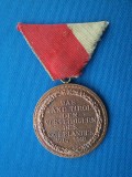 MEDALIA DE ONOARE PENTRU APARAREA TIROLULUI 1914-1918