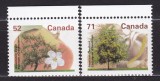 CANADA ARBORI- CASTAN AMERICAN SERIE MNH, Nestampilat