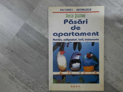 Pasari de apartament de Doris Quinten foto