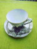 Portelan suedez, frumoasa ceasca de cafea