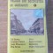 Melodii din Bucurestiul de odinioara Volume 1 (caseta)
