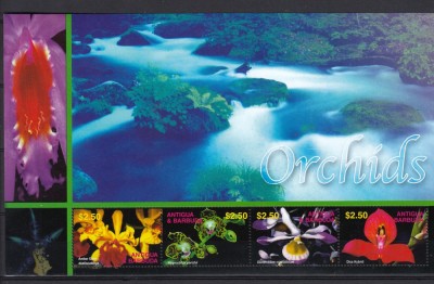 Antigua &amp;amp; Barbuda - Flori - ORHIDEE - Bloc XXL - MNH foto