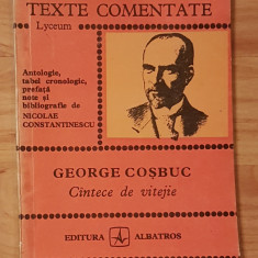 Texte comentate: George Cosbuc - Cantece de vitejie