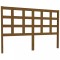 Foto  - 2