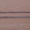 Set sine Dell Latitude E4310