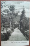 Carte postala, Sinaia, Aleeas Carmen Sylva si Manastirea, 1925