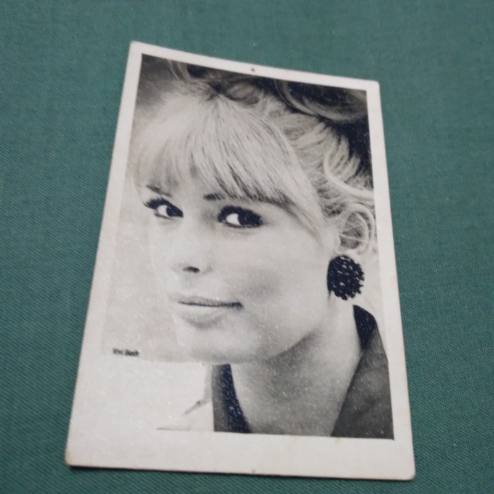 FOTO TIP 9/6CM VIVI BACH