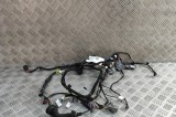 Cablaj ușă dreapta față TESLA MODEL S 2018 OEM: 1004424-01-U | 31873623