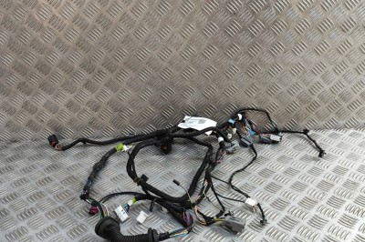 Cablaj ușă dreapta față TESLA MODEL S 2018 OEM: 1004424-01-U | 31873623 foto