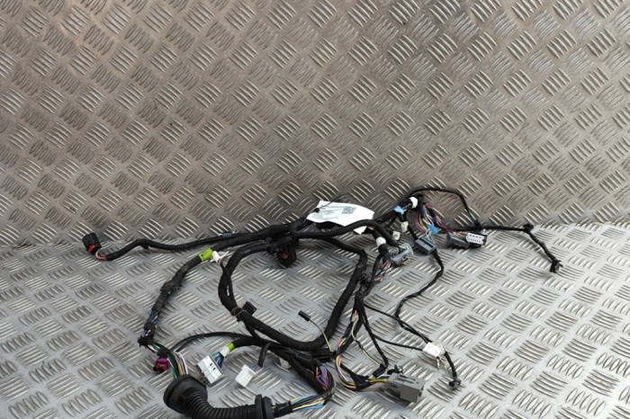 Cablaj ușă dreapta față TESLA MODEL S 2018 OEM: 1004424-01-U | 31873623