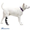 Walkinpets - Orteză cu talpă (pentru picoarele posterioare) - pentru