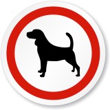 Eticheta pentru caine