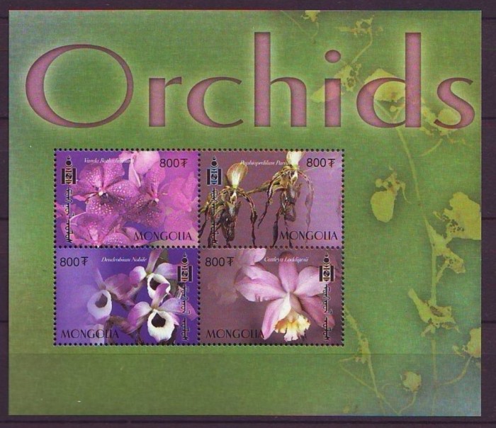 MONGOLIA 2003 FLORI ORHIDEE