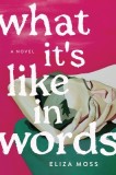 What It's Like in Words