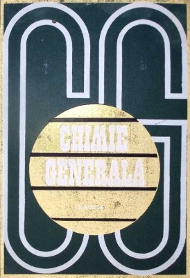 CHIMIE GENERALA-CONSTANTIN RABEGA-279175 foto