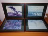 4x tablou art print dupa pictura Bruno Liljefors animale salbatice vultur vulpe