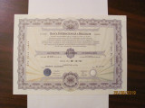 PVM - Actiune Nominativa 10000 lei Banca Internationala a Religiilor BIR 1996, Romania de la 1950