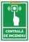 Foto  - 1