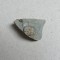 Dalmanites sp. trilobit din Silurian, Anglia