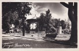 Giurgiu. Parcul Alei (necirculata)
