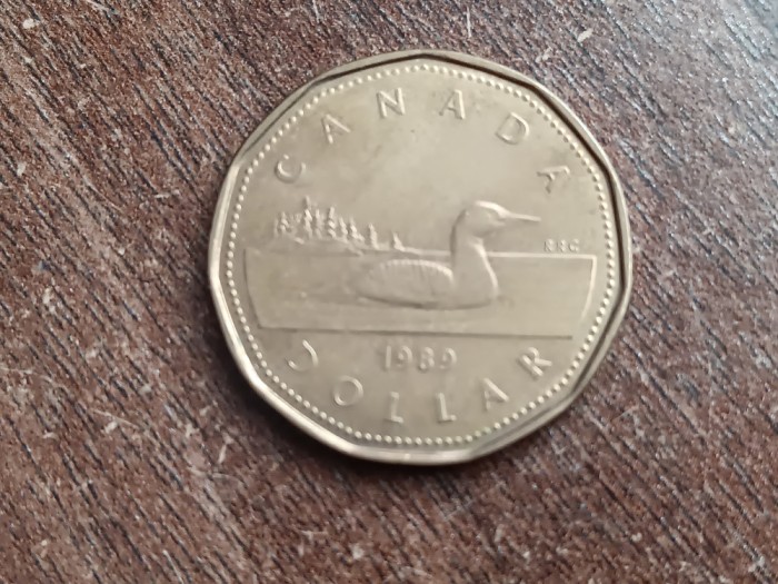 C50 - Moneda foarte veche - Canada - 1 dolar - 1989