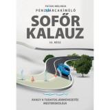 P&eacute;nzt&aacute;rcak&iacute;m&eacute;lő Sofőrkalauz III.r&eacute;sz - Avagy a tudatos j&aacute;rművezet&eacute;s mesteriskol&aacute;ja - Pataki Melinda