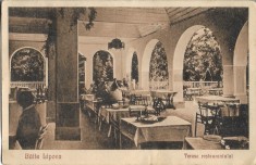 CP230 Carte postala Baile Lipova terasa restaurantului foto