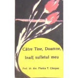 CATRE TINE, DOAMNE, INALT SUFLETUL MEU-FLORICA T. CAMPAN-263987