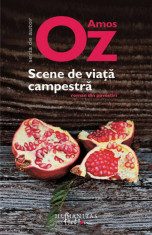 Scene de viata campestra - de Amos Oz foto