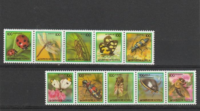 Fauna,buburuze ,Coreea de Sud.