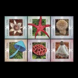 Ciuperci 2021 LP 2323