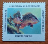 1989-CONSERVATORUL de FAUNA-MARINA-PESTI --SET=1VAL.-NESTAMP--Scan