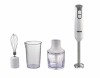 Blender vertical Zass ZHB07, 600W, 2 viteze, inox, include tel si tocator 300ml, vas 600ml