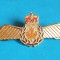 Insigna AVIATIE militara Internationala - Aviator - Pilot - Canada varianta 2