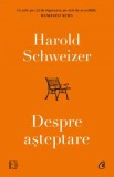 Despre asteptare - Harold Schweizer - Editura Curtea Veche