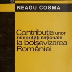 Contributia unor minoritati nationale la bolsevizarea Romaniei – Neagu Cosma