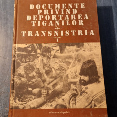 Documente privind deportarea tiganilor in Transnistria vol. 1 Viorel Achim