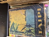 Taipi vintage