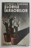 FLORILE FARAONILOR - NUVELE de GIORGIO DE GIACOMO , coperta si desene de THEO , 1934