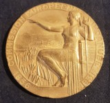 MEDALIA COMEMORATIVA COMISIA EUROPEANĂ A DUNARII-1856-1931-BRONZ DIAMETRU 7 CENTIMETRI