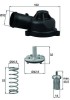 MAHLE TI 244 83D termostat,lichid racire