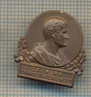 Y 569 INSIGNA -SVENSKA -GYMNASTIKFORBUNDET-GIMNASTICA SUEDIA-PENTRU COLECTIONARI foto