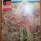 flacara 18 iulie 1970-art despre automobilul constantinescu