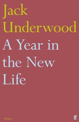A Year in the New Life foto