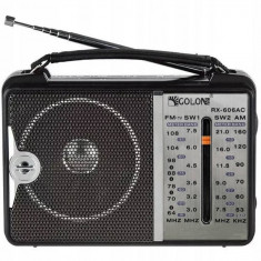 Radio FM portabil, Pe curent sau baterii, Negru