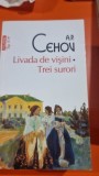 Livada de visini. Trei surori - A.P. Cehov