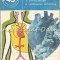 Factorii De Risc Ai Aterosclerozei Si Cardiopatiei Ischemice - C. Carp