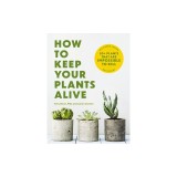 How to Keep Your Plants Alive: 50 Plants That Are Impossible to Kill